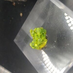Autunite Uranium Crystal UV Mineral Specimen